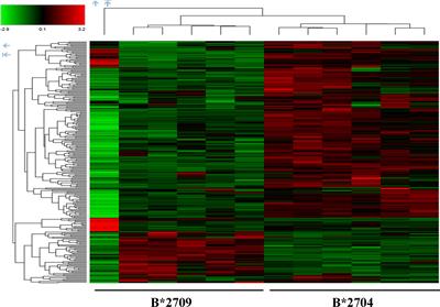 Differences in Cellular Clearing Mechanisms of Aggregates of Two Subtypes of HLA-B27